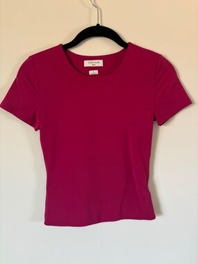 Aritzia Contour Crewneck Short Sleeve Top